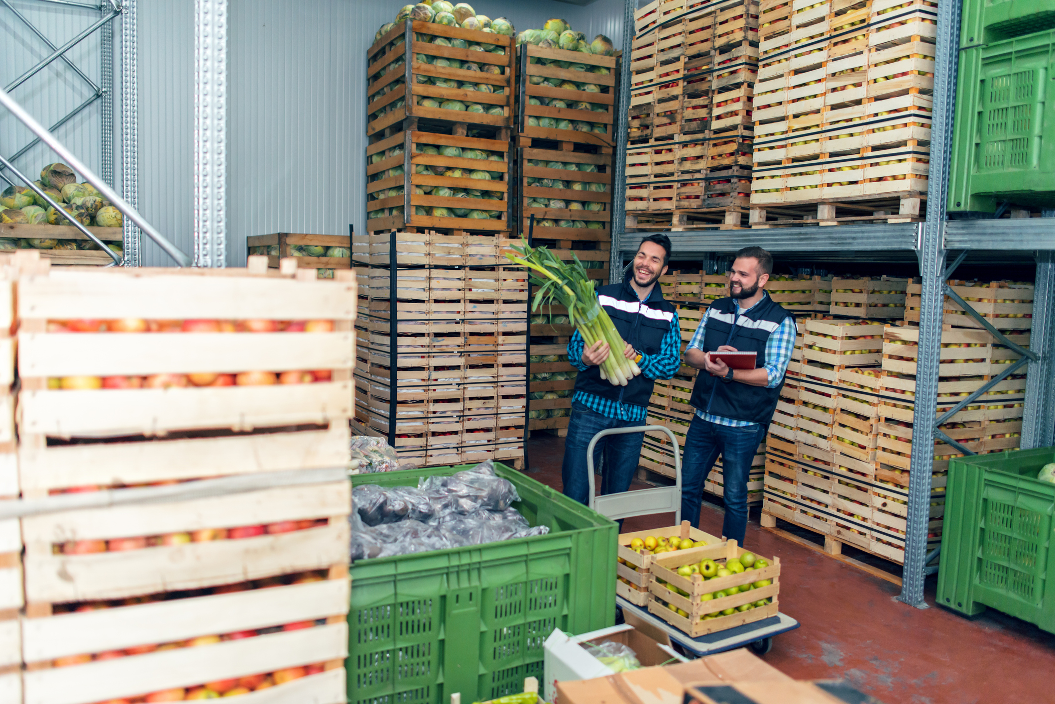 Fresh vegetables in warehouse