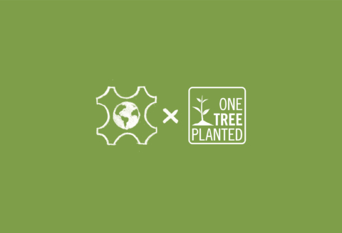 Celebrating Earth Day with One Tree Planted Partnership